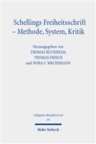 Thomas Buchheim, Nora C Wachsmann, Thoma Frisch, Thomas Frisch, Nora C. Wachsmann - Schellings Freiheitsschrift - Methode, System, Kritik