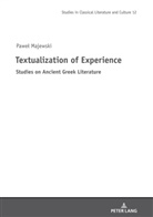 Pawe¿ Majewski, Pawel Majewski, Mikolaj Szymanski - Textualization of Experience