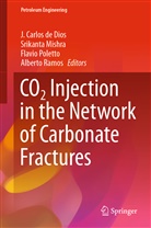 J. Carlos de Dios, Srikant Mishra, Srikanta Mishra, Flavio Poletto, Flavio Poletto et al, Alberto Ramos - CO2 Injection in the Network of Carbonate Fractures