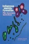 Barbara G Barnes, Barbara G. Barnes, Cora J Voyageur, Cora J. Voyageur - Indigenous Identity Formation in Postsecondary Institutions