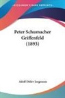 Adolf Ditlev Jorgensen - Peter Schumacher Griffenfeld (1893)