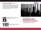 Pablo Verdejo Pimentel - La Sanción como Adolescente en el Proceso Penal Adulto