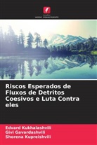 Givi Gavardashvili, Edvard Kukhalashvili, Shorena Kupreishvili - Riscos Esperados de Fluxos de Detritos Coesivos e Luta Contra eles