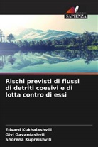 Givi Gavardashvili, Edvard Kukhalashvili, Shorena Kupreishvili - Rischi previsti di flussi di detriti coesivi e di lotta contro di essi