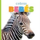 Kate Riggs - Cebras Bebés