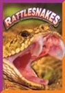Gail Terp - Rattlesnakes
