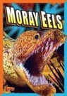 Gail Terp - Moray Eels