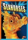 Gail Terp - Seahorses