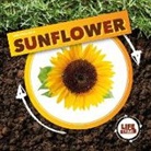 Kirsty Holmes - Life Cycle of a Sunflower