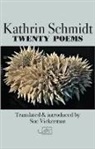 Kathrin Schmidt - Twenty Poems