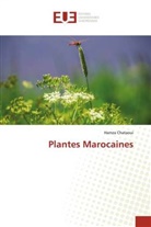 Hamza Chataoui - Plantes Marocaines
