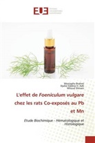 Djallel Eddine H. Adli, Mostapha Brahmi, Miloud Slimani - L'effet de Foeniculum vulgare chez les rats Co-exposés au Pb et Mn