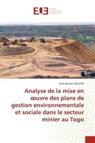 Sedi Selinam HELUTSE - Analyse de la mise en oeuvre des plans de gestion environnementale et sociale dans le secteur minier au Togo