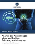 Joaquín Molina Ortega - Analyse der Auswirkungen einer nachhaltigen Fahrzeugdurchdringung