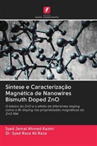 Syed Jamal Ahmed Kazmi, Dr. Syed Raza Ali Raza, Syed Raza Ali Raza - Síntese e Caracterização Magnética de Nanowires Bismuth Doped ZnO