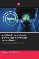Joaquín Molina Ortega - Análise do impacto da penetração de veículos sustentáveis