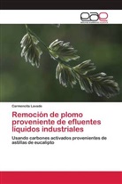 Carmencita Lavado - Remoción de plomo proveniente de efluentes líquidos industriales