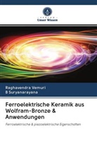 B Suryanarayana, B. Suryanarayana, Raghavendr Vemuri, Raghavendra Vemuri - Ferroelektrische Keramik aus Wolfram-Bronze & Anwendungen