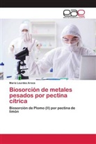 María Lourdes Aroca - Biosorción de metales pesados por pectina cítrica