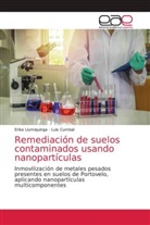 Luis Cumbal, Erika Llumiquinga - Remediación de suelos contaminados usando nanopartículas