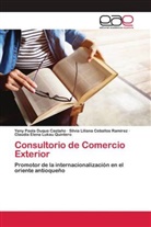 Silvia Liliana Ceballos Ramirez, Yeny Paola Duque Castaño, Claudia Elena Lukau Quintero - Consultorio de Comercio Exterior