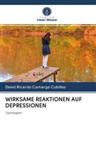 David Ricardo Camargo Cubillos - WIRKSAME REAKTIONEN AUF DEPRESSIONEN