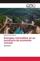 Alejandro Pérez Gómez - Energías renovables en un escenario de economía circular