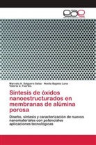Noelia Bajales Luna, Valeria C. Fuertes, Marcelo A. Salguero Salas - Síntesis de óxidos nanoestructurados en membranas de alúmina porosa