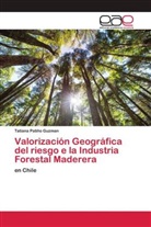 Tatiana Patiño Guzman - Valorización Geográfica del riesgo e la Industria Forestal Maderera