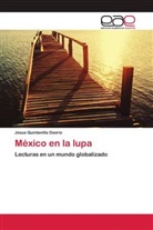 Jesus Quintanilla Osorio - México en la lupa