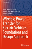 José A. Aguado, José González-González, José M González-González, José M. González-González, Alici Triviño-Cabrera, Alicia Triviño-Cabrera - Wireless Power Transfer for Electric Vehicles: Foundations and Design Approach