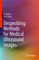Yun Cheng, J Zhang, Ju Zhang - Despeckling Methods for Medical Ultrasound Images