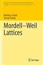 Matthia Schütt, Matthias Schütt, Tetsuji Shioda - Mordell-Weil Lattices