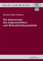 Silvana Große Feldhaus - Die Abgrenzung des Diagnosefehlers vom Befunderhebungsfehler