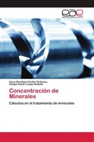 Gary Christiam Farfán Chilicaus, Gladys Sandi Licapa Redolfo - Concentración de Minerales