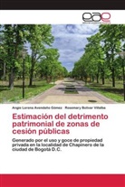 Angie Lorena Avendaño Gómez, Rosemary Bolívar Villalba - Estimación del detrimento patrimonial de zonas de cesión públicas
