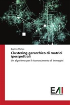 Beatrice Matteo - Clustering gerarchico di matrici iperspettrali