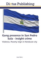 Kemal Yildirim - Gang presence in San Pedro Sula - insight crime