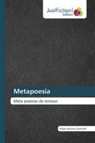 Felipe Antonio Santirelli - Metapoesia