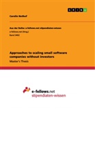 Carolin Nothof - Approaches to scaling small software companies without investors