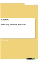 André Müller - Evaluating Minimum Wage Laws