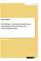 Anna Schmidt - Nachhaltige Unternehmenssanierung. Erstellung und Beurteilung eines Sanierungskonzeptes