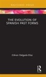 Gibran Delgado-Diaz, Gibran Delgado-Díaz - Evolution of Spanish Past Forms