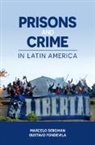 Marcelo Bergman, Marcelo Fondevila Bergman, Bergman Marcelo, Gustavo Fondevila - Prisons and Crime in Latin America