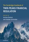 Andrew Schmulow Godwin, Andrew Godwin, Andrew Schmulow - Cambridge Handbook of Twin Peaks Financial Regulation