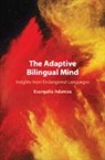 Evangelia Adamou, Evangelia (Centre National De La Recherche Adamou, Adamou Evangelia - Adaptive Bilingual Mind