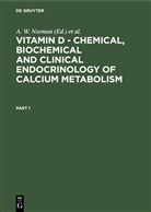 H. -G. Grigoleit, H.-G. Grigoleit, D. V. Herrath, A. W. Norman, K. Schaefer - Vitamin D - Chemical, Biochemical and Clinical Endocrinology of Calcium Metabolism