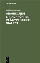 Degruyter - Arabischen Sprachführer in ägyptischem Dialect