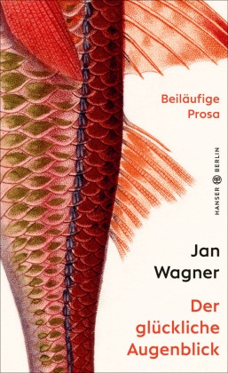 Jan Wagner - Der glückliche Augenblick - Beiläufige Prosa