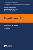 Ferdinand Kerschner, Katharina Sagerer-Foric, Thomas Schoditsch - Familienrecht